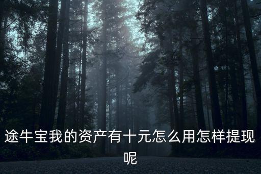 途牛寶我的資產(chǎn)有十元怎么用怎樣提現(xiàn)呢