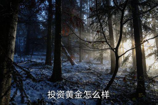 投資黃金怎么樣，現(xiàn)在投資黃金怎么樣