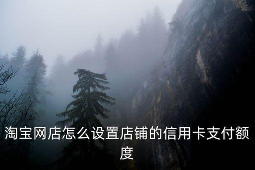 信用卡淘寶付款限額怎么修改，淘寶支付限額怎么改