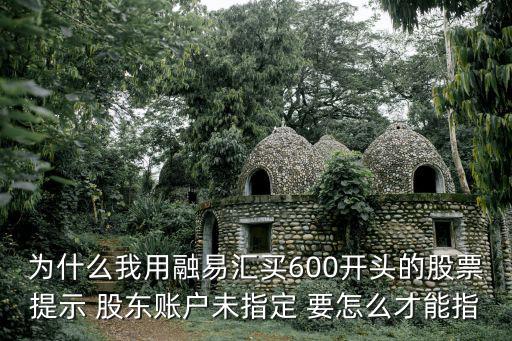 為什么我用融易匯買600開(kāi)頭的股票提示 股東賬戶未指定 要怎么才能指
