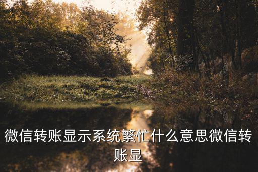 微信轉(zhuǎn)賬顯示系統(tǒng)繁忙什么意思微信轉(zhuǎn)賬顯