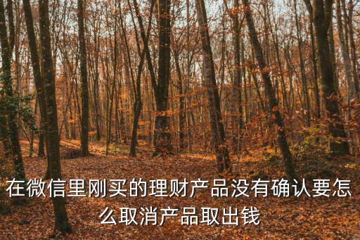在微信里剛買(mǎi)的理財(cái)產(chǎn)品沒(méi)有確認(rèn)要怎么取消產(chǎn)品取出錢(qián)
