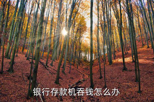 銀行存款機(jī)吞錢怎么辦
