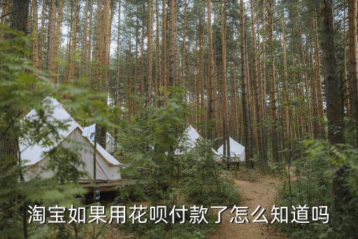 淘寶怎么看可以用花唄支付，淘寶怎么支持花唄付款方式