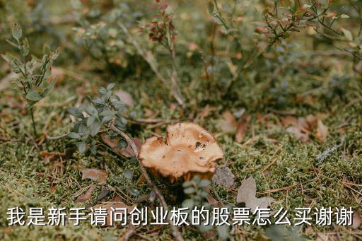創(chuàng)業(yè)板怎么買，創(chuàng)業(yè)版股票怎么買