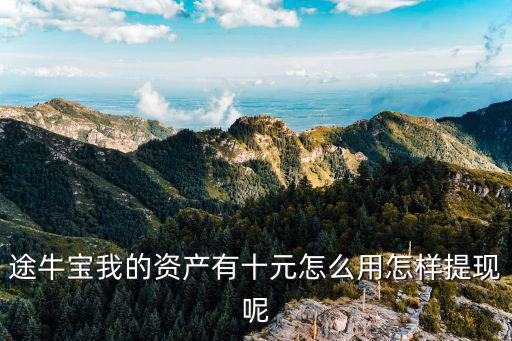 工商途?？ㄔ趺从茫九毼业馁Y產(chǎn)有十元怎么用怎樣提現(xiàn)呢