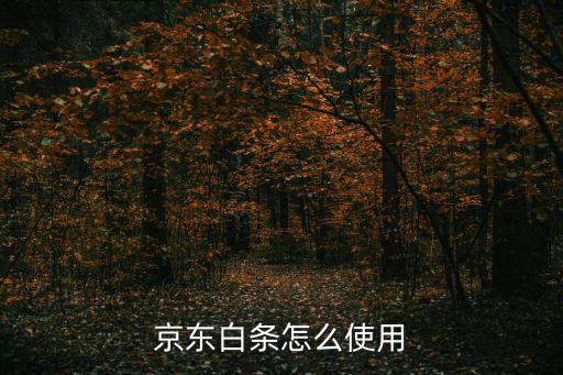 京東白條怎么使用