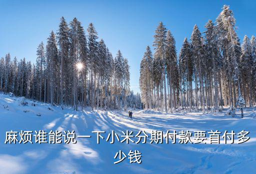 小米分期 怎么要多付錢，麻煩誰(shuí)能說(shuō)一下小米分期付款要首付多少錢