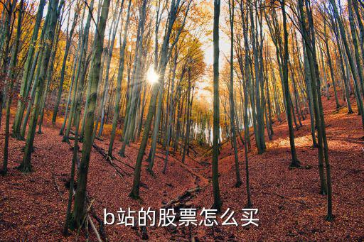 b站的股票怎么買
