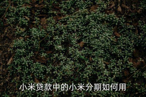 小米貸款中的小米分期如何用