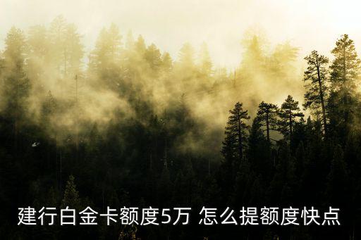 建行白金卡額度5萬 怎么提額度快點