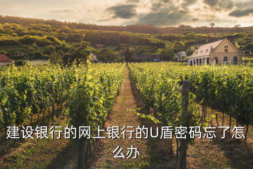 建設(shè)銀行的網(wǎng)上銀行的U盾密碼忘了怎么辦