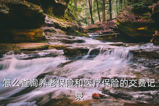 怎么查詢養(yǎng)老保險(xiǎn)和醫(yī)療保險(xiǎn)的交費(fèi)記錄