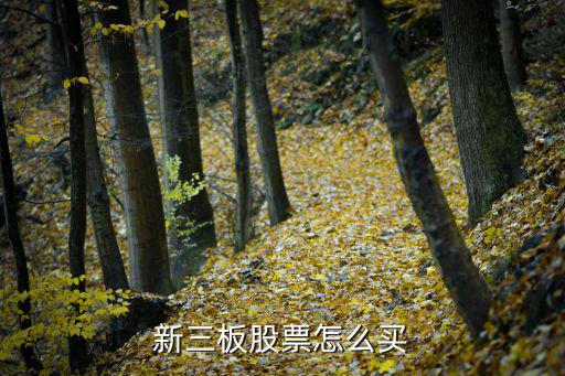 新三板怎么買(mǎi)，新三板股票怎么買(mǎi)