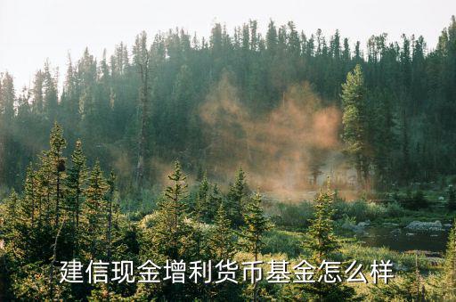 建信現(xiàn)金增利貨幣基金怎么樣