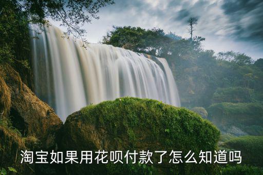 淘寶如果用花唄付款了怎么知道嗎