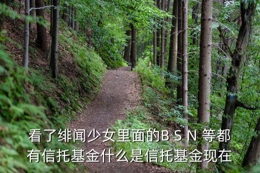 看了緋聞少女里面的B S N 等都有信托基金什么是信托基金現(xiàn)在