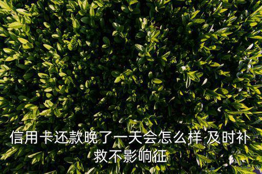 信用卡還款晚了一天會(huì)怎么樣 及時(shí)補(bǔ)救不影響征