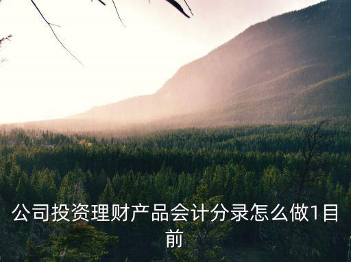 投資理財公司怎么做賬，一般納稅人企業(yè)購買理財產(chǎn)品如何做賬