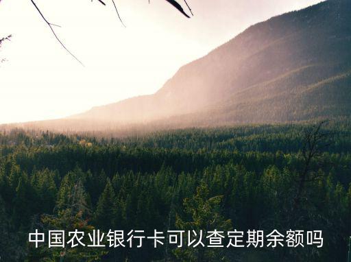 農(nóng)行怎么查看定期存款，中國農(nóng)業(yè)銀行卡可以查定期余額嗎