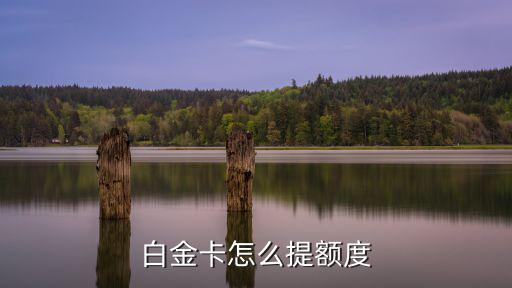 白金卡怎么提額度