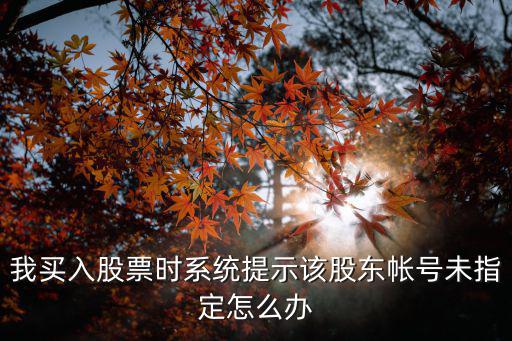 我買入股票時(shí)系統(tǒng)提示該股東帳號(hào)未指定怎么辦