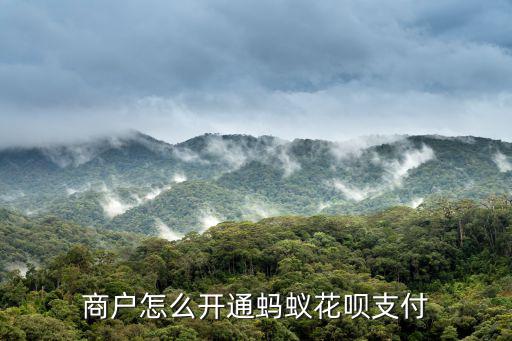 商戶怎么開通螞蟻花唄支付