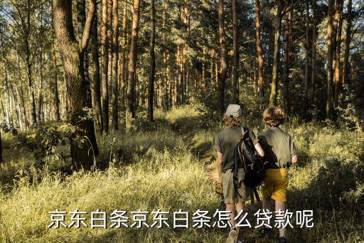 京東白條京東白條怎么貸款呢