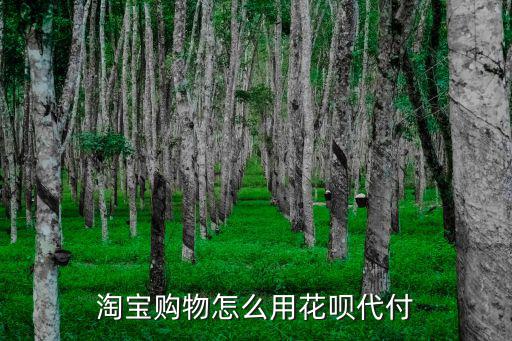 淘寶付款怎么使用花唄付款方式，淘寶購(gòu)物怎么用花唄代付