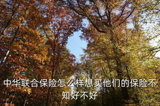 中華聯(lián)合保險(xiǎn)怎么樣，日照 中華聯(lián)合保險(xiǎn)怎么樣