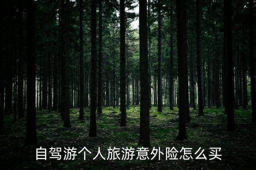 自駕游個(gè)人旅游意外險(xiǎn)怎么買