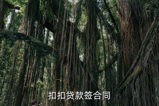 扣扣貸款簽合同