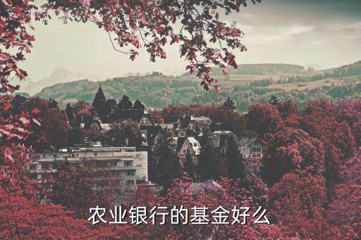 農(nóng)銀消費主題基金怎么樣，農(nóng)業(yè)銀行的基金好么