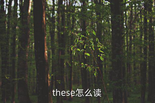 these怎么讀