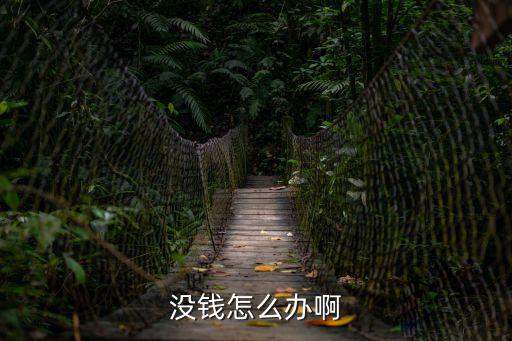 沒錢怎么辦啊