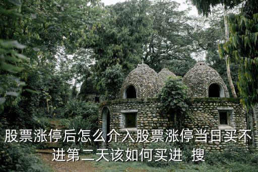 股票漲停后怎么介入股票漲停當(dāng)日買不進(jìn)第二天該如何買進(jìn)  搜