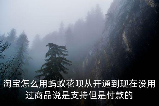 淘寶怎么用螞蟻花唄從開通到現(xiàn)在沒用過商品說是支持但是付款的