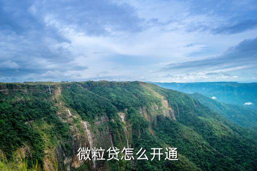 微粒貸怎么開(kāi)通