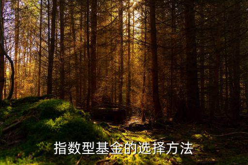 指數(shù)型基金的選擇方法