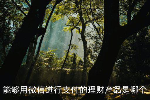 能夠用微信進(jìn)行支付的理財(cái)產(chǎn)品是哪個(gè)