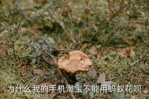 為什么我的手機(jī)淘寶不能用螞蟻花唄