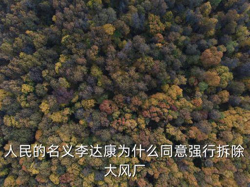 人民的名義李達(dá)康為什么同意強(qiáng)行拆除大風(fēng)廠