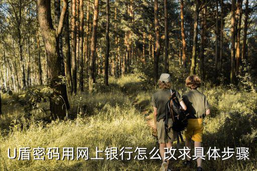 招行u盾登陸密碼怎么修改，怎么修改U盾的密碼