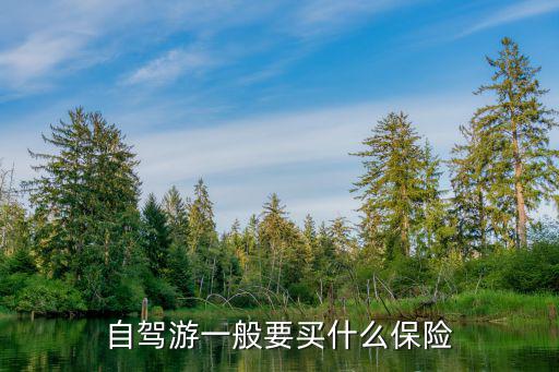自駕旅游保險怎么買，自駕游一般要買什么保險
