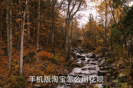 手機(jī)版淘寶怎么用花唄