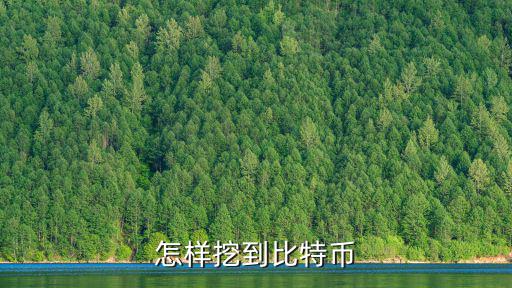 怎樣挖到比特幣