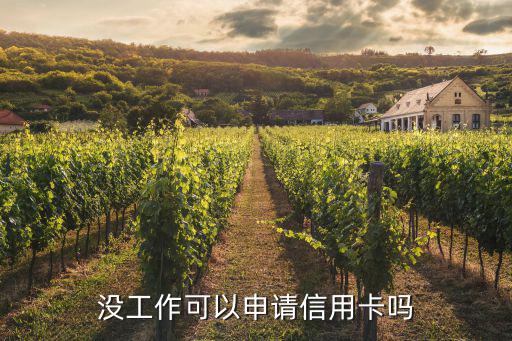 沒工作怎么辦信用卡，沒工作可以申請(qǐng)信用卡嗎