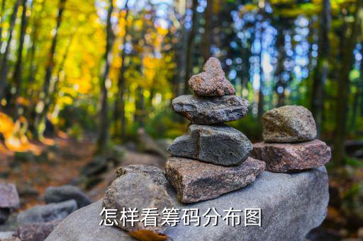 籌碼分布圖怎么看，股票籌碼分布圖怎么看
