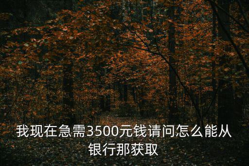 急需3500元怎么解決，我現(xiàn)在急需3500元想辦理個(gè)信用卡但是我只有身份怎么辦愁死了