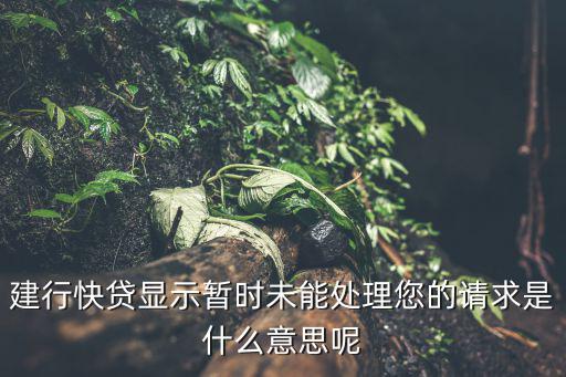 建行的快貸申請不了怎么辦理，建行快貸如何使用